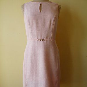 Ellen Tracy Womens size 8 Pink Career Dress